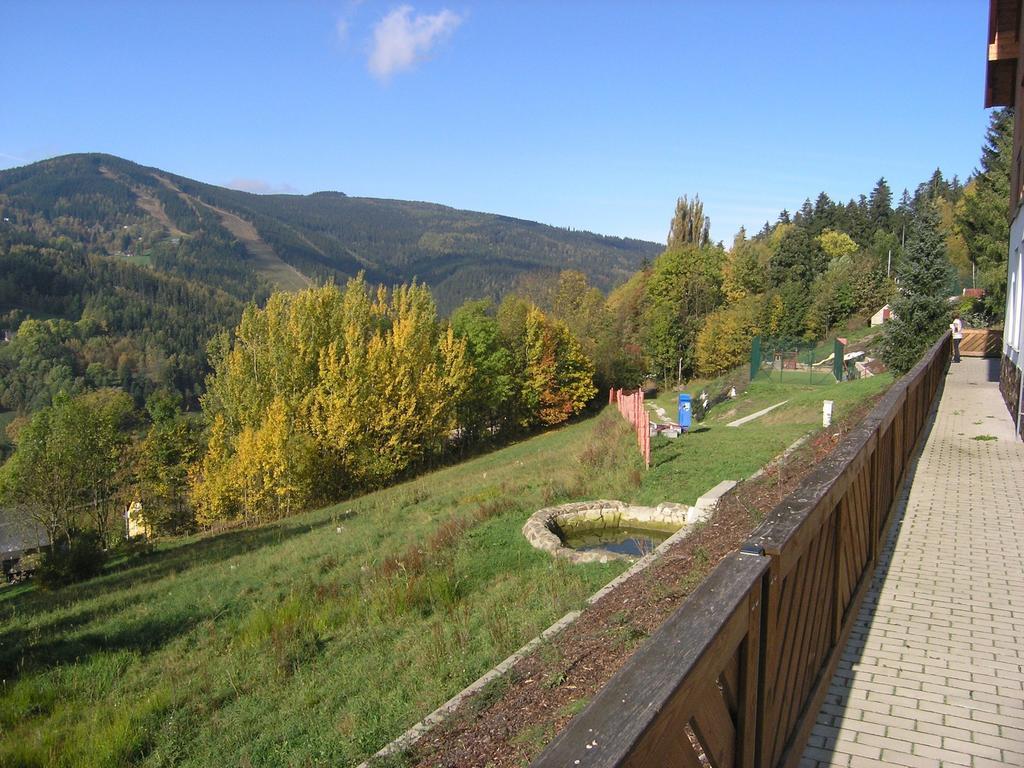 Penzion Kozel - Herlikovice Krkonose Врхлаби Экстерьер фото